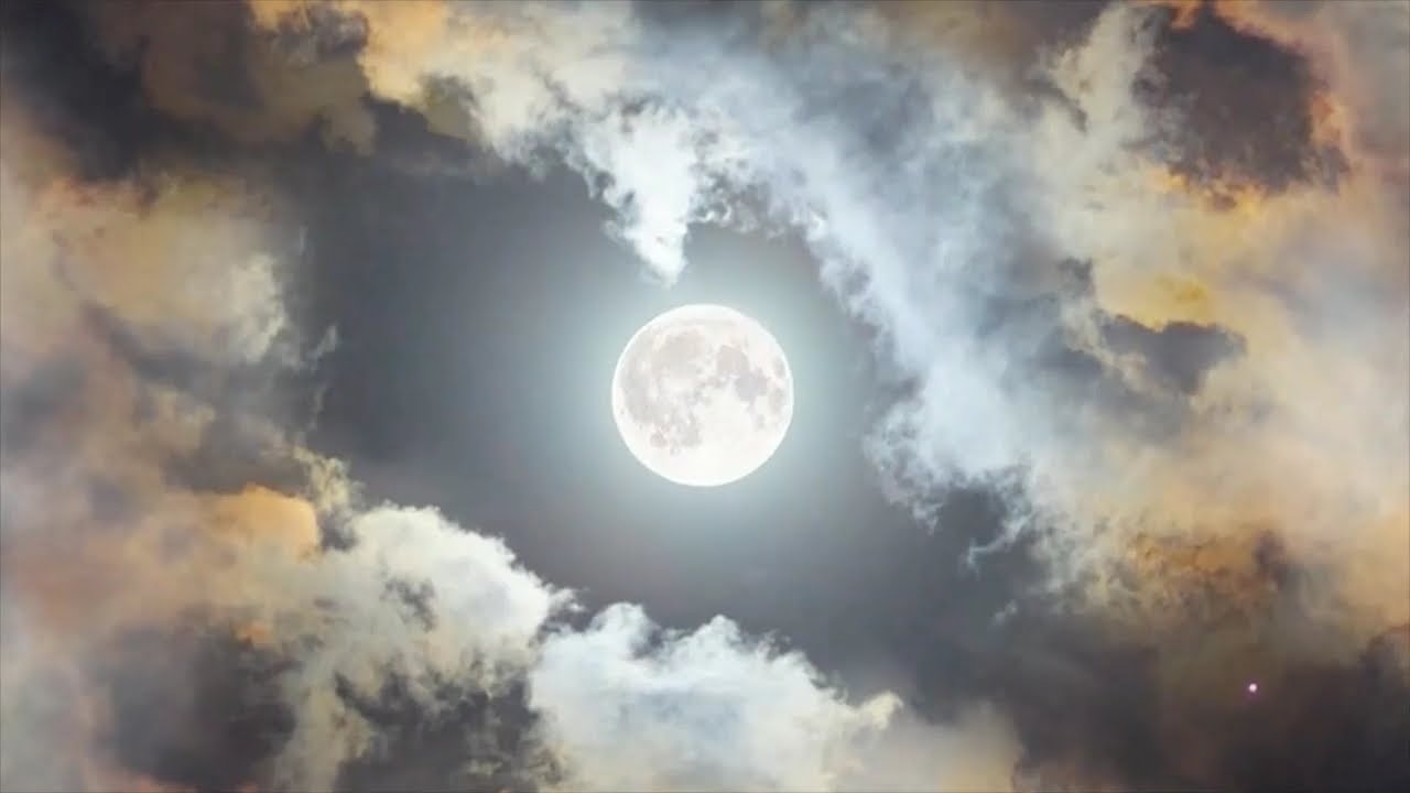 Mimmo D'amuri & Electronic Poetry  _  Dreaming of you