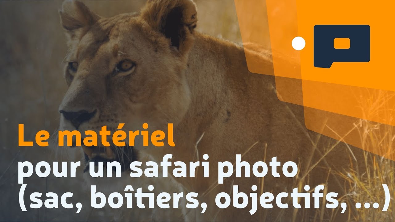📷 Le matériel pour un safari photo (sac, boîtiers, objectifs, ...)