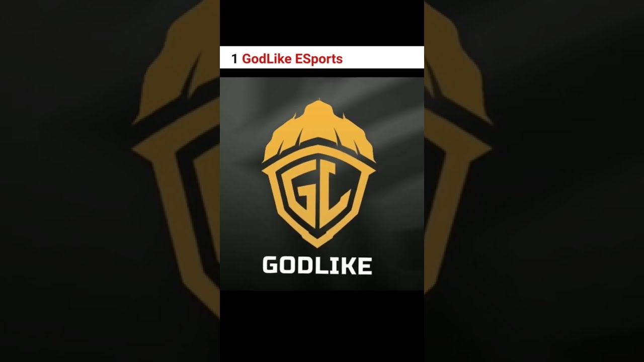 Top 5 Esports Organization in India 2022 | no1 esports orgs