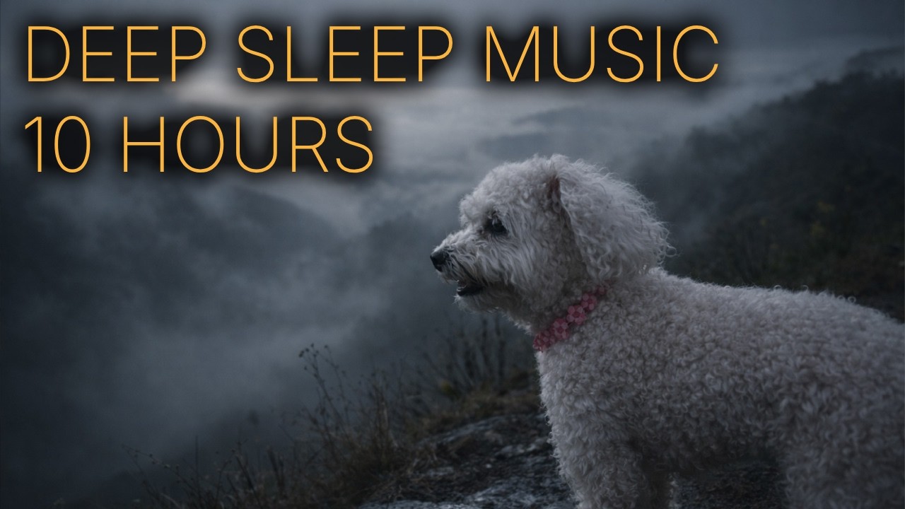 In The Clouds Together ☁️🐾 | 10 Hours • Anxiety Relief Music • Relaxation & Comfort
