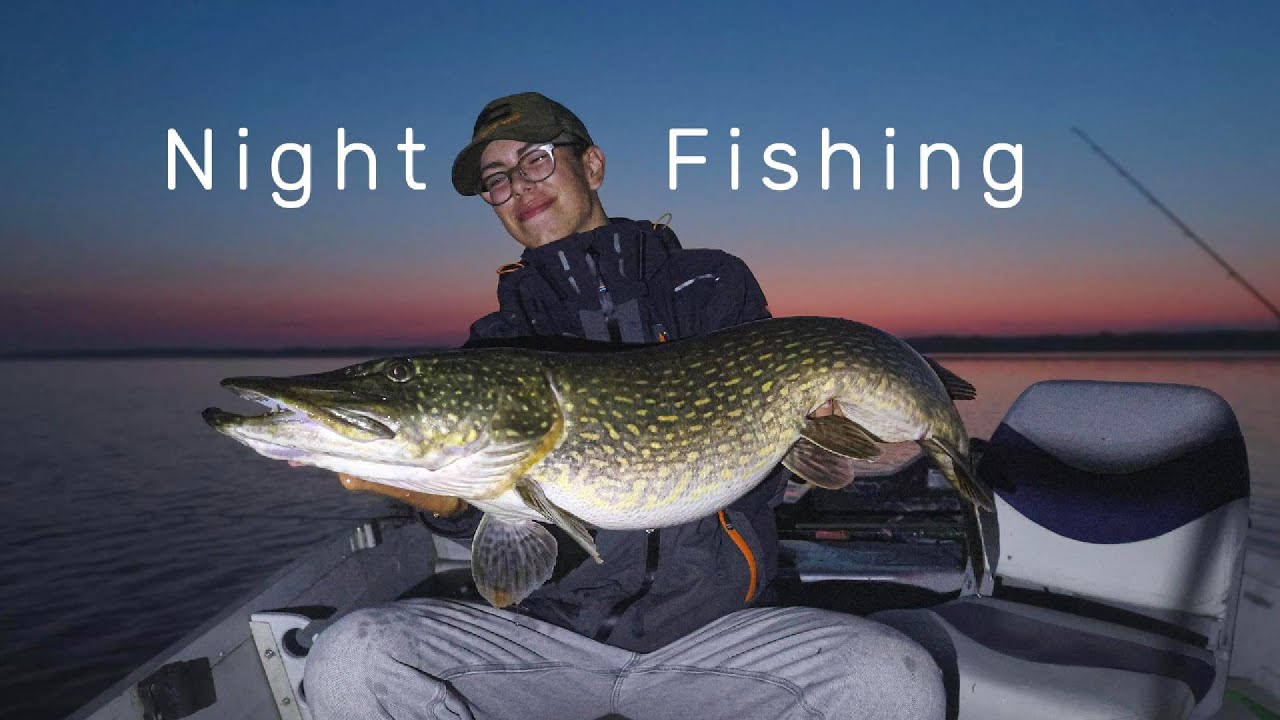 Night Fishing In Sweden | BIG Pike And Zander