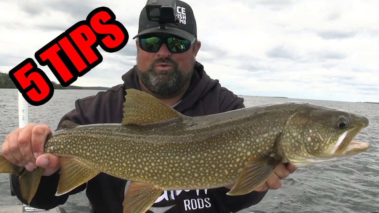 Lake Trout Fishing | Top 5 Sharpshooting Tips