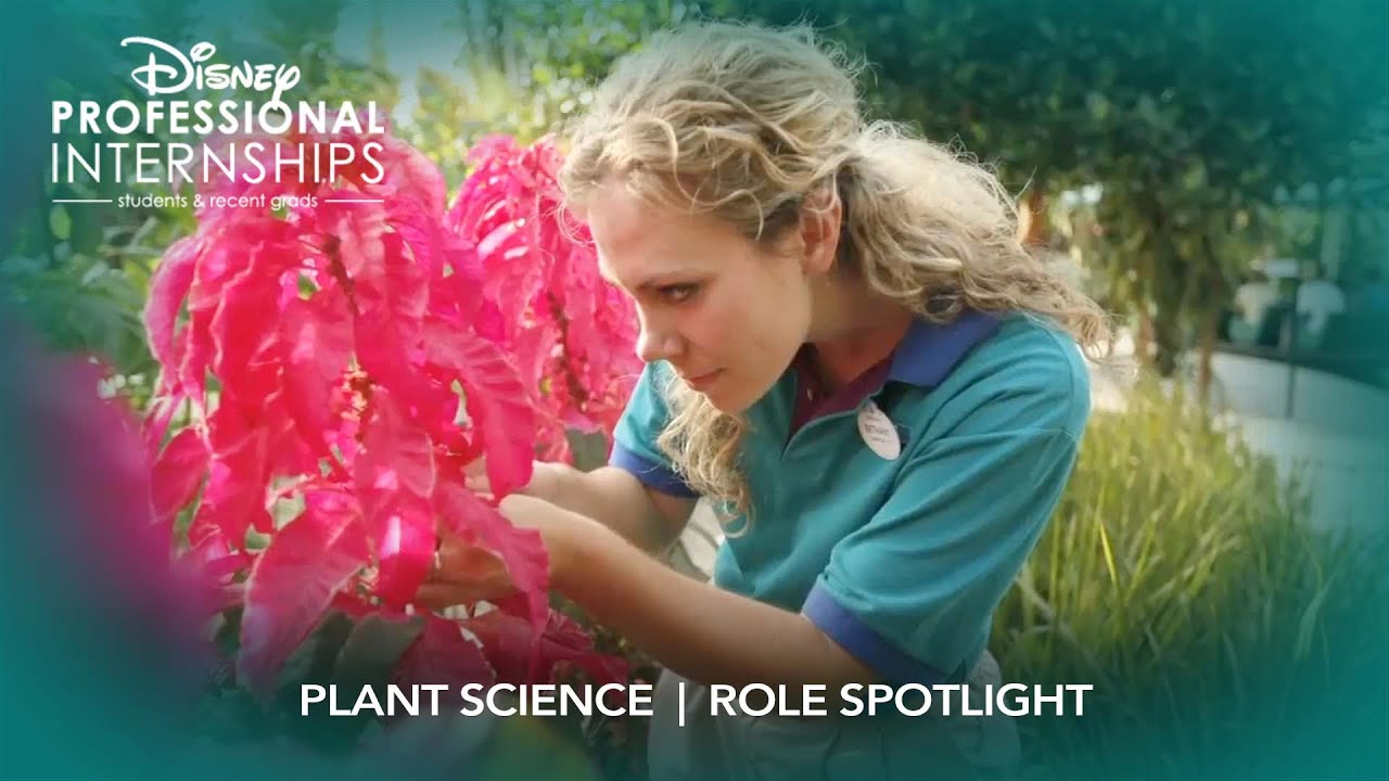 Plant Science | Disney Professional Internship Role