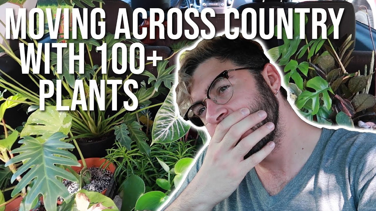 Moving Across Country with 100+ Plants! | How to Move With Plants