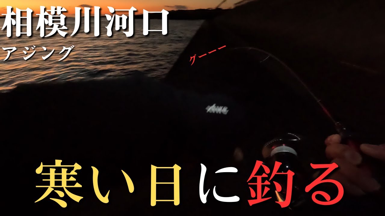 【相模川河口】とても寒い日に釣ってきた。相模川河口を利用する方にお知らせがあります。アジング初心者【2026年1月8日】