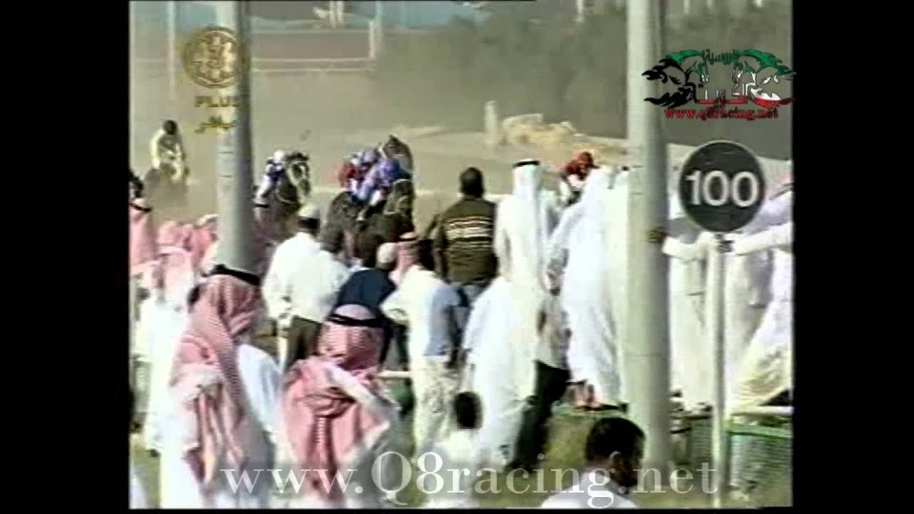 سباق المناطق الجواد برج التحرير