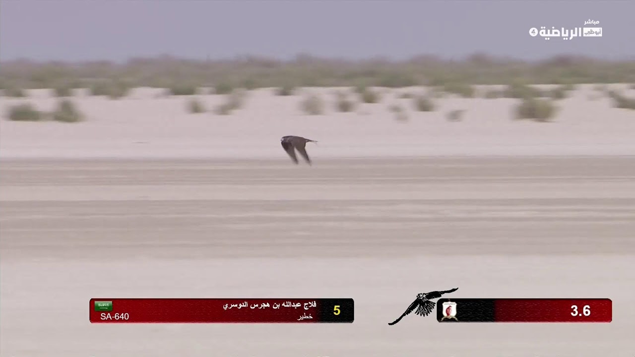 كأس رئيس الدولة للصيد بالصقور فئة دول مجلس التعاون( جير بيور وقرموشةوشاهين وتبع) جرناس وفرخ 1/2/2022