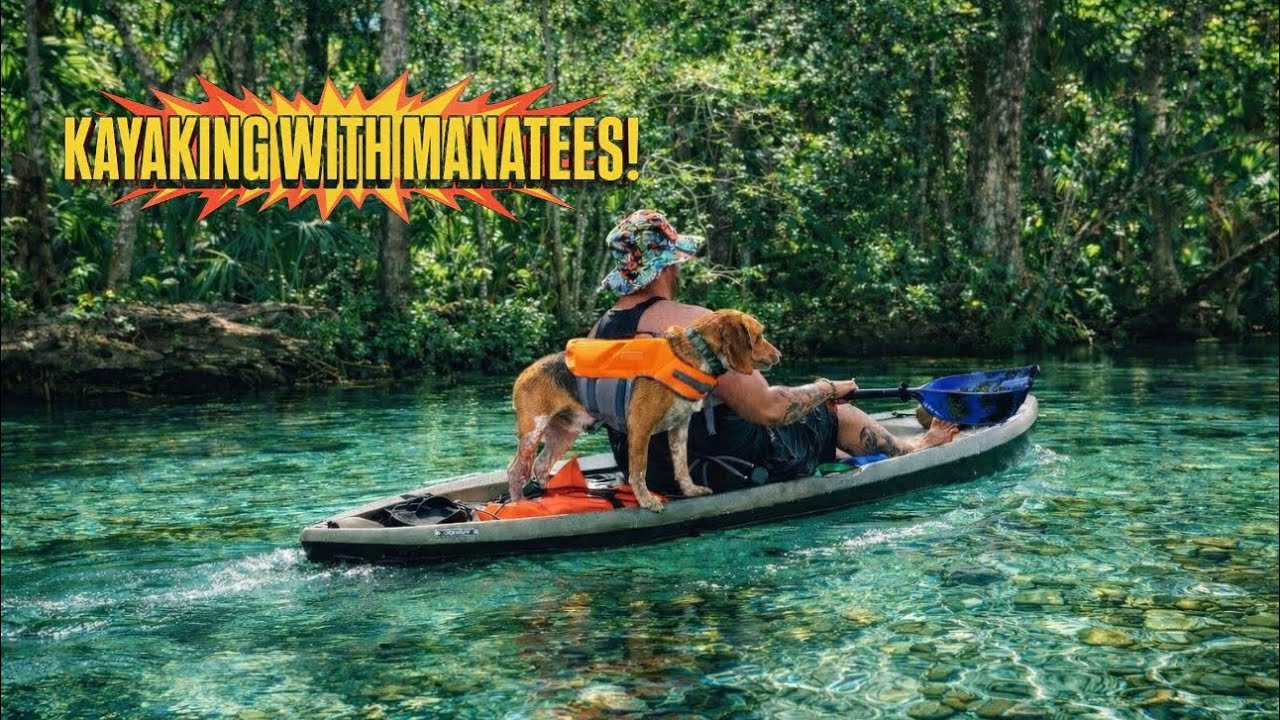 Florida Episode 17, Kayaking Weeki Wachee Springs with my dog!