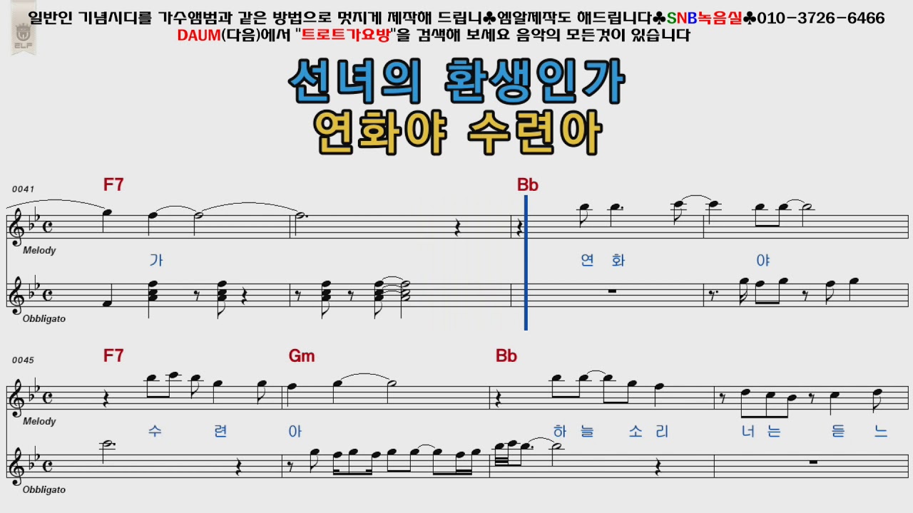 유지나 연꽃