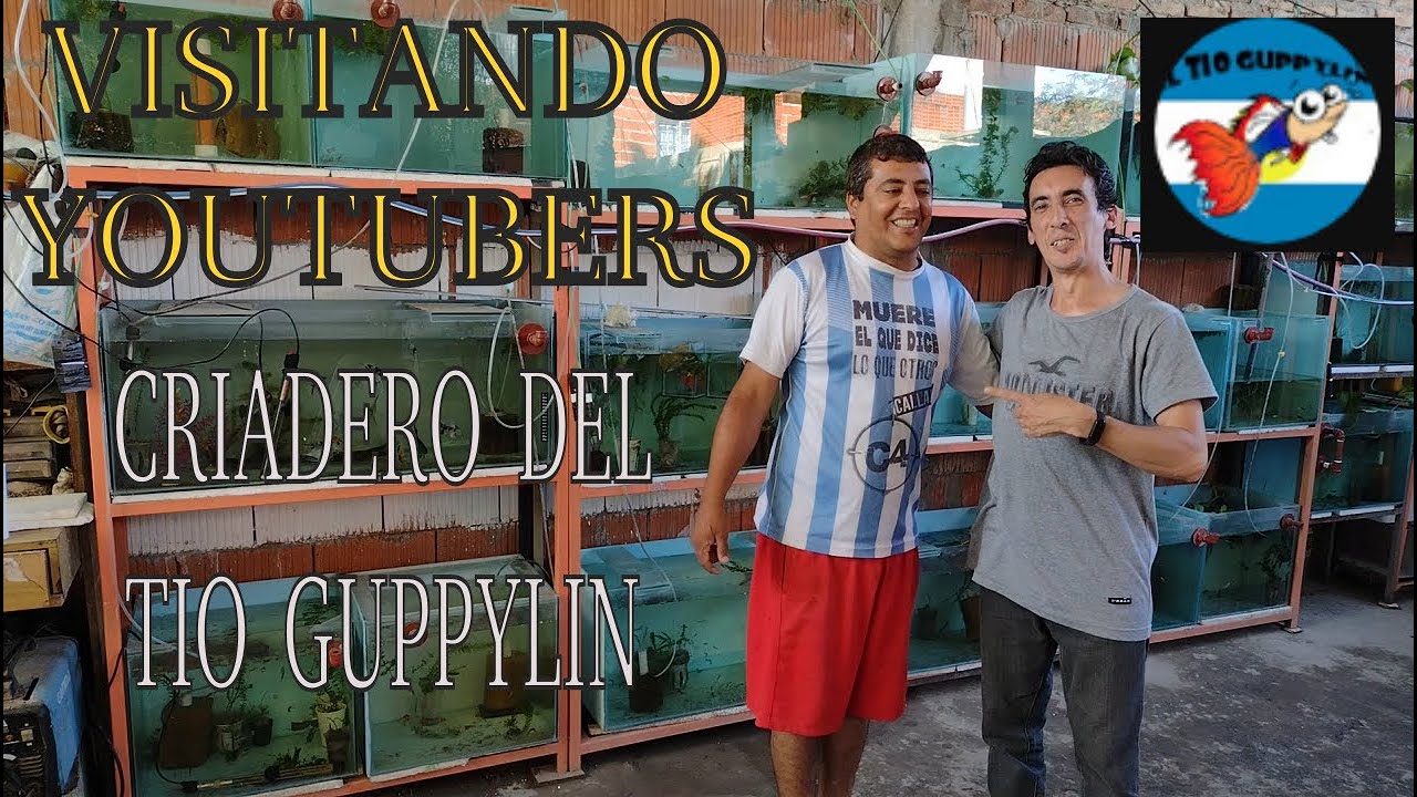 Los mejores consejos. Visitamos El Criadero del Tio Guppylin