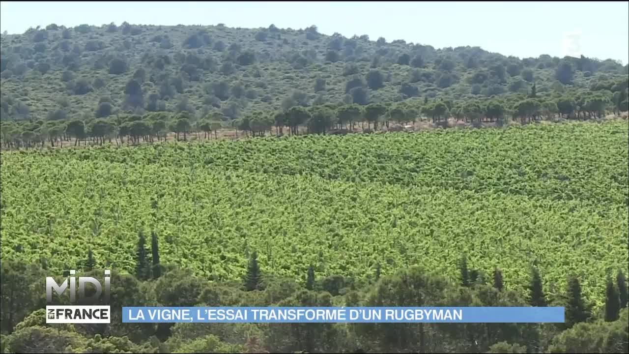 La success story de Gérard Bertrand et de son vin gris de blanc