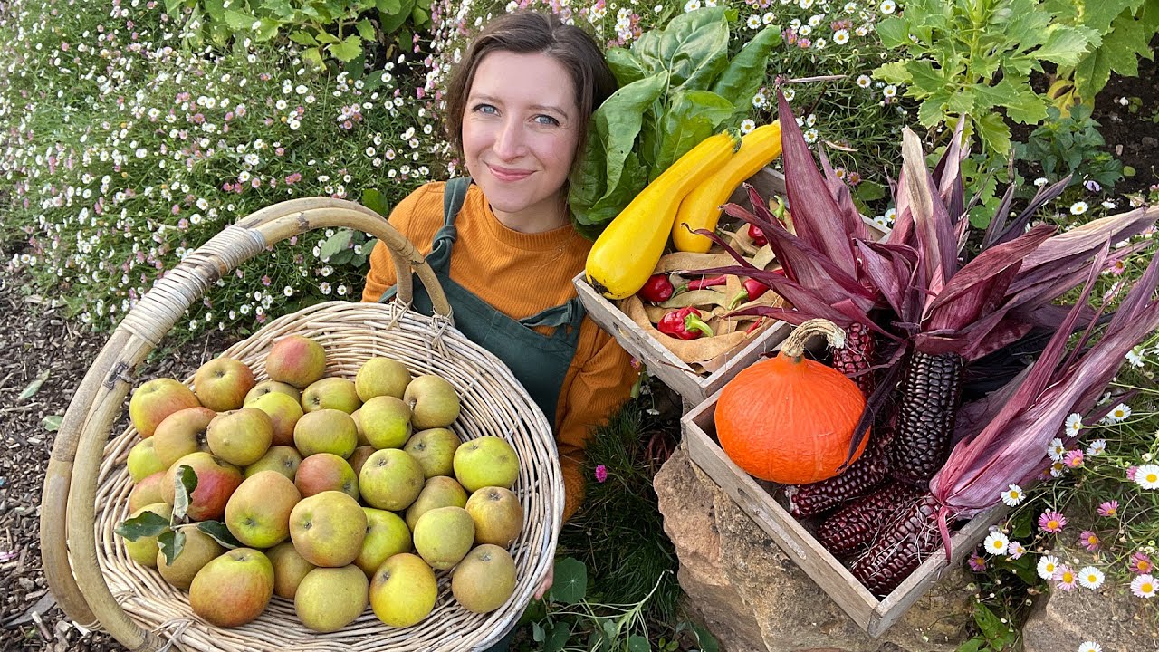 September Allotment Tour & Harvest  2021 / Homegrown Garden