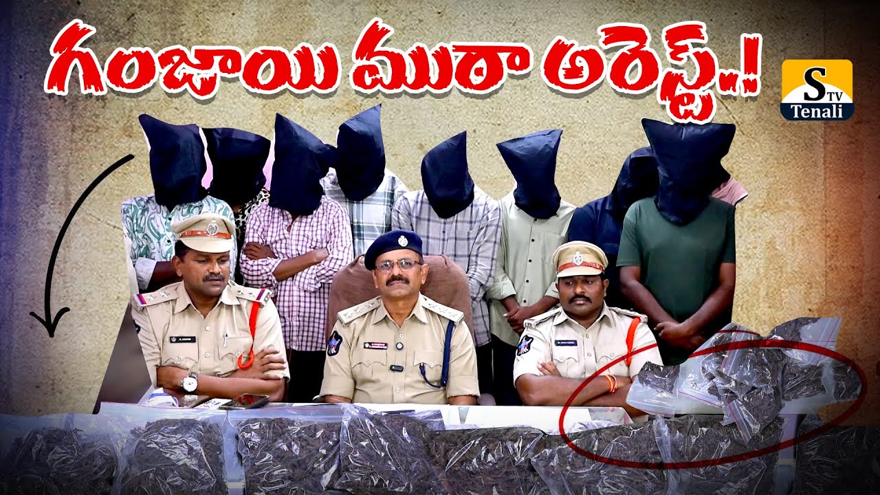 తెనాలిలో గంజాయి ముఠా అరెస్ట్.! |STVTENALI