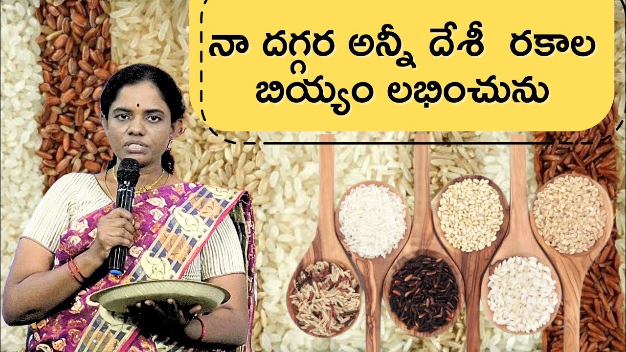 నాదగ్గర దేశీవాళి బియ్యం రకాలు లభించును||నవరా, ఇంద్రాణి, సిద్ద సన్నాలు, బహురూపి, నారాయణ కామిని ఇంకా..