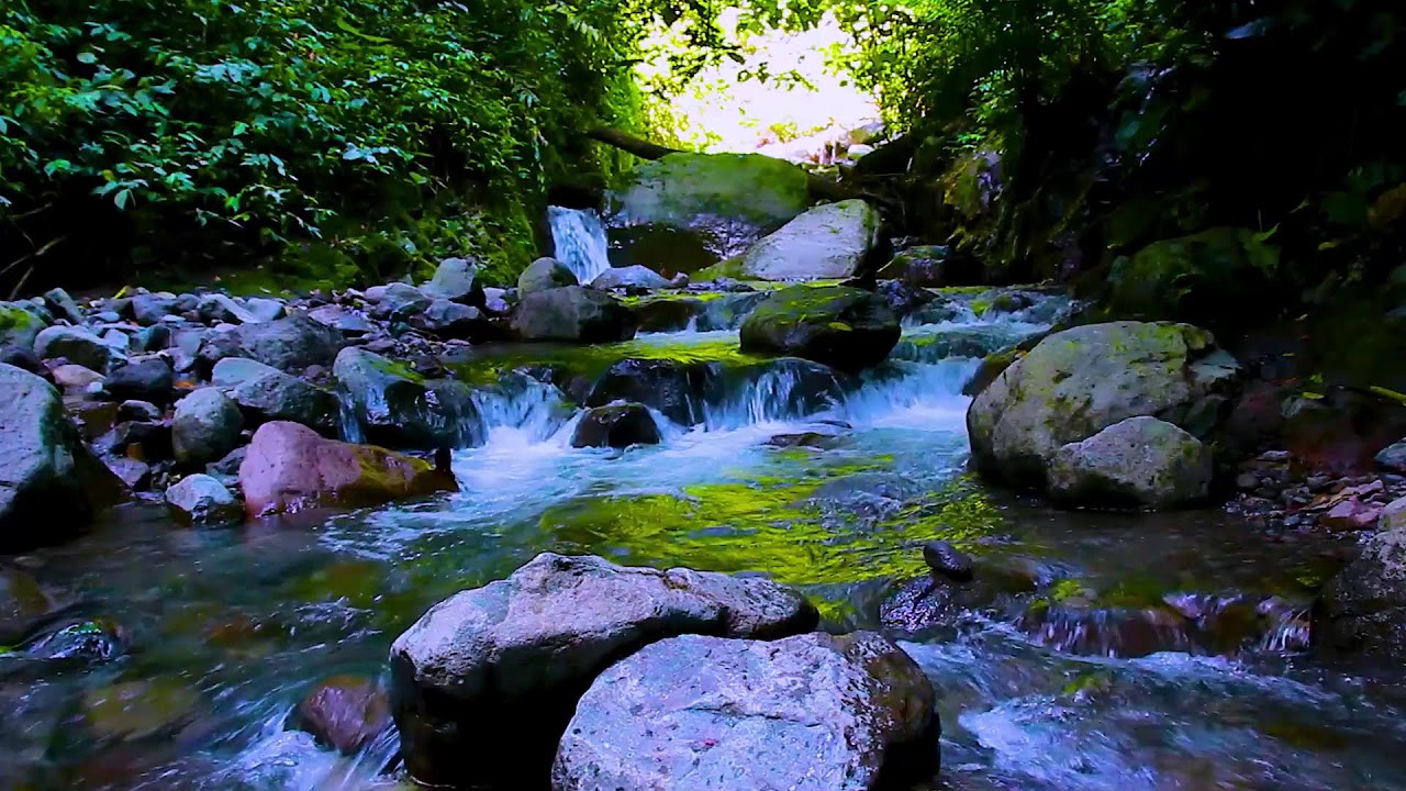 Focused Work Ambience with Mountain River Flowing Water and Gentle White Noise