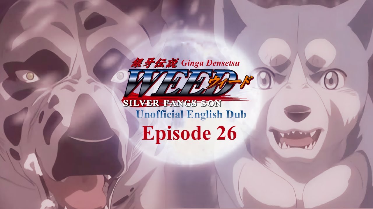 Ginga Densetsu Weed- Episode 26 (UNOFFICIAL ENGLISH DUB)