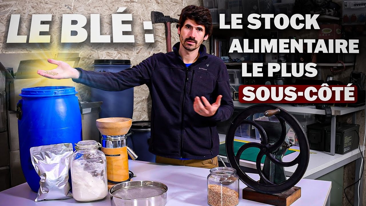 Hyper nourrissant, longue conservation, polyvalent : le blé, encore mieux que le riz et les pâtes