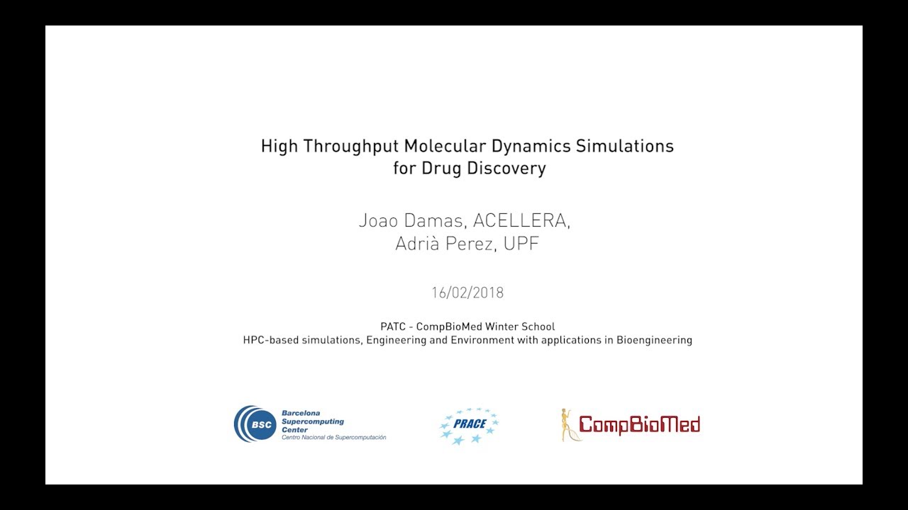 High Throughput Molecular Dynamics Simulations for Drug Discovery