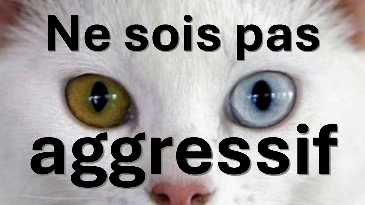 Outil de négociation - Ne sois pas agressif