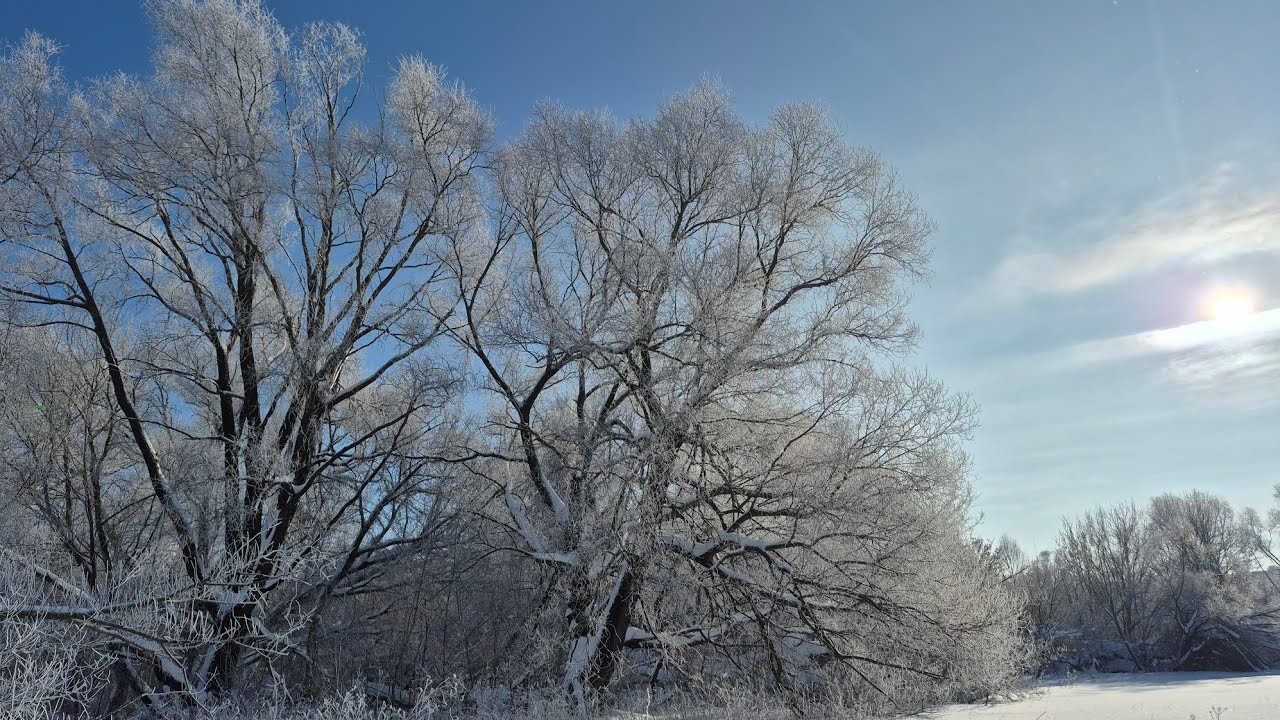 Winter  Landscapes           Nature  Sounds 