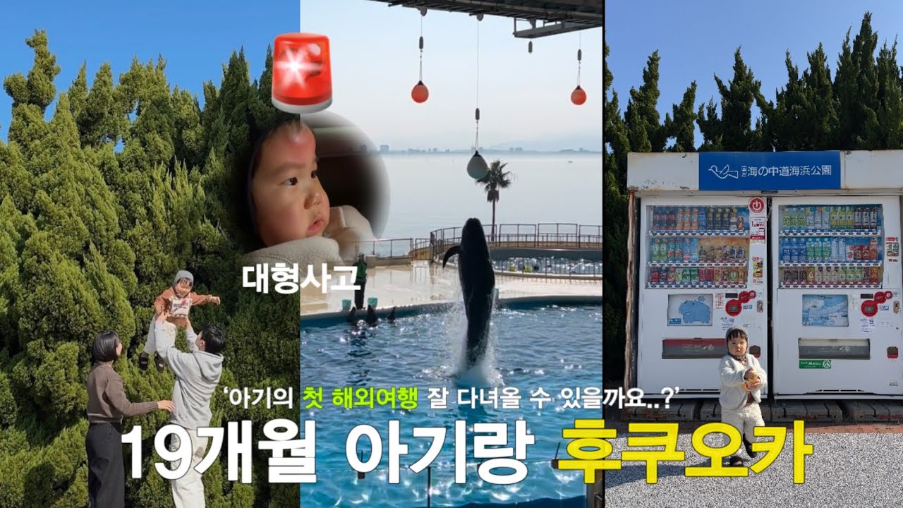[육아기록] 19개월 아기랑 후쿠오카 1️⃣ - 마린월드,아기랑 여행 준비물,후쿠오카 코스추천🐬 #후쿠오카 #fukuoka
