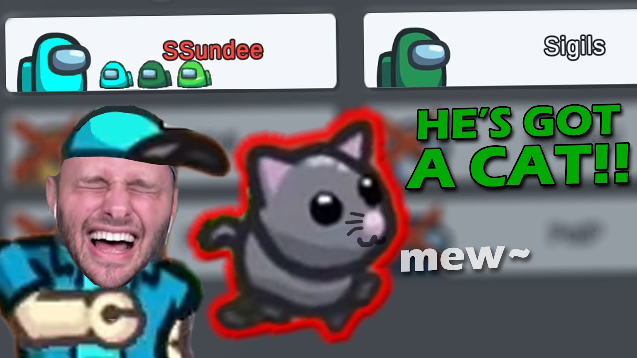 Sigils forgets that Ssundee has a cat and can't die