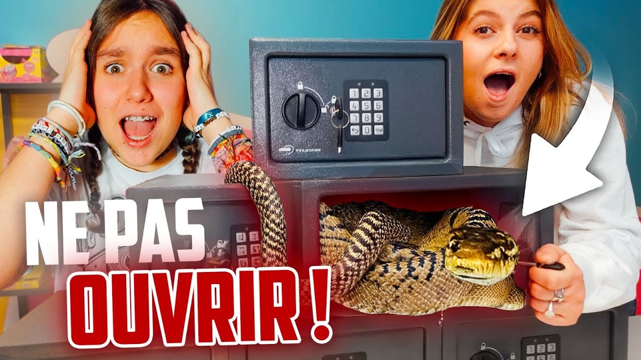 NE PAS OUVRIR LE MAUVAIS COFFRE SECRET ! - (1H DE PINK LILY)