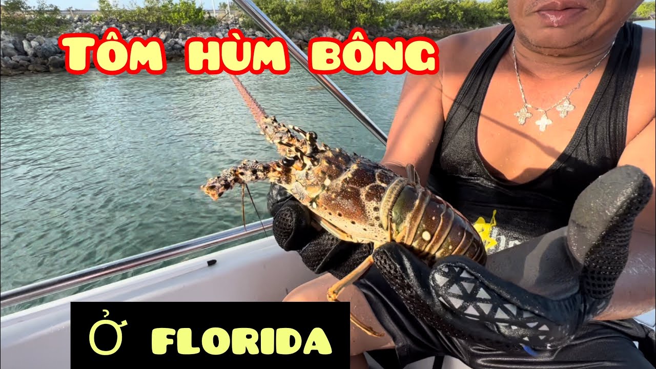 #185: Trải nghiệm bắt tôm hùm bông ở florida đầy kịch tính và kết quả không ngờ....