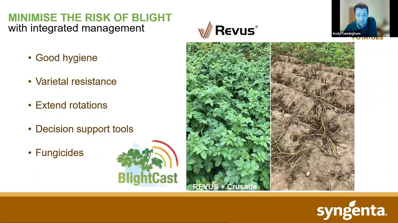 Syngenta Potato Science Webinar 2022 Blight management