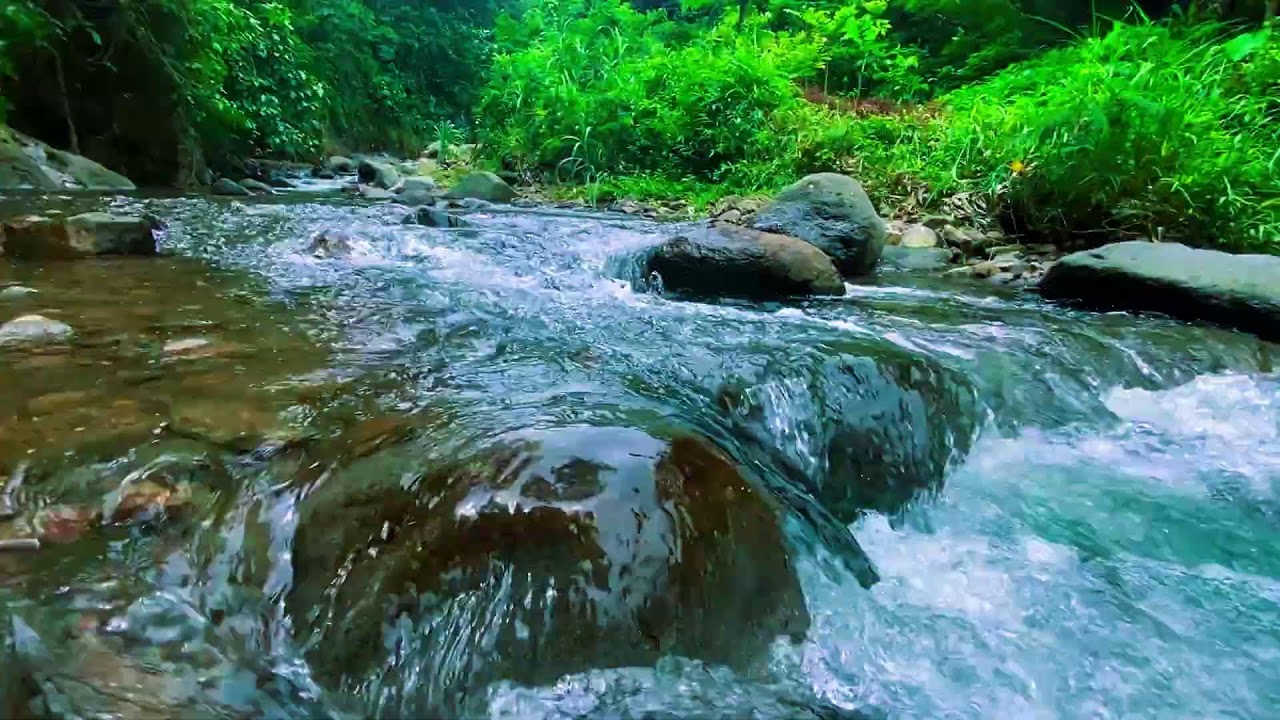 САМЫЙ УСПОКАИВАЮЩИЙ ЗВУК 💦 Прозрачная лесная река — Глубокий сон ASMR