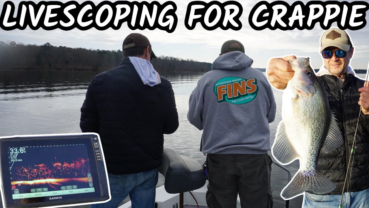 Crappie Fishing with LIVESCOPE! Targeting HUGE Crappie! Harris Lake, North Carolina
