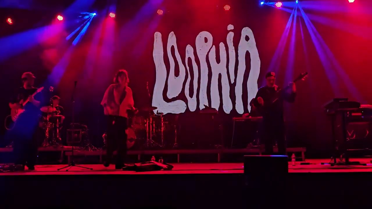 Loophia - 7011 - ELEFÁNT FARSANG // BARBA NEGRA