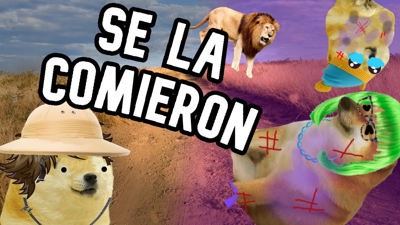 MADRE con DERECHO es COMIDA por LEONES - Hilos con cheems