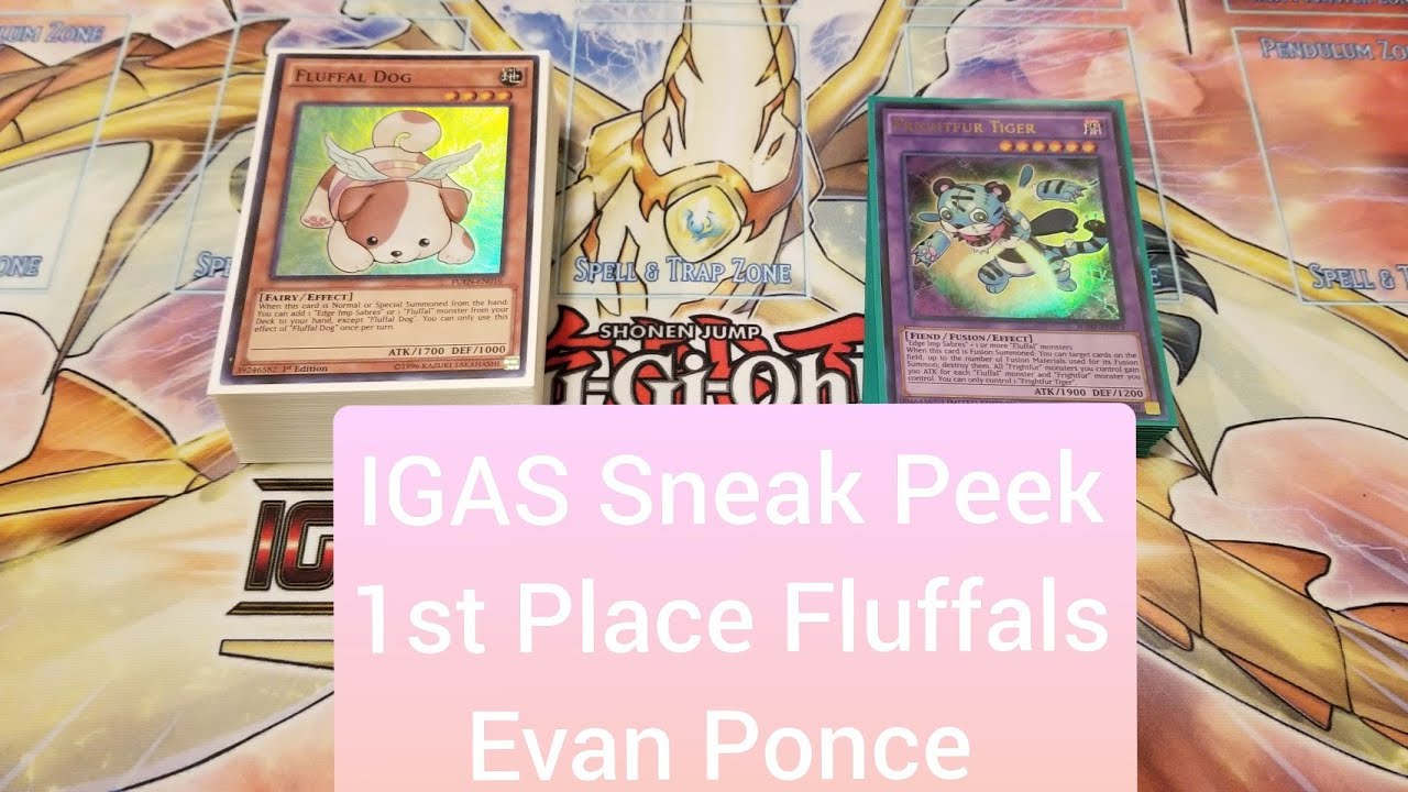 1st Place IGAS Sneak Peek! Fluffal Deck, Evan Ponce
