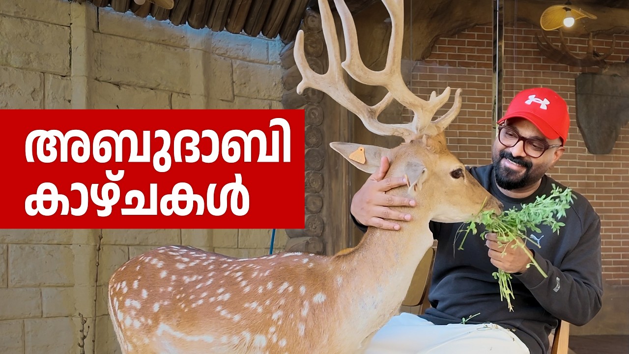അബുദാബിയിലെ അടിപൊളി കാഴ്ചകൾ | Abu Dhabi Travel Vlog | Presidential Palace, Owl Cafe & Emirates Zoo