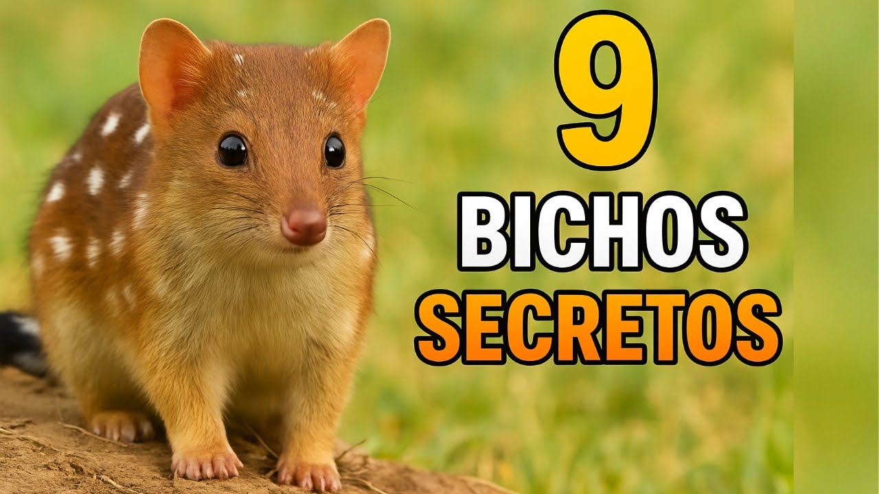 9 Bichos Que Quase Ninguém Conhece — E São Geniais 🔍
