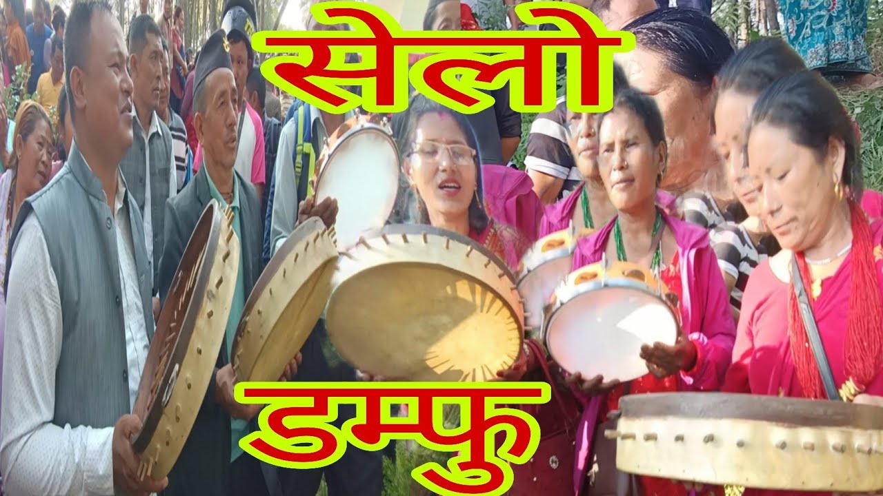 डम्फु सेलो मौलिक तामाङ सेलो Live dohori songs 2080/2023