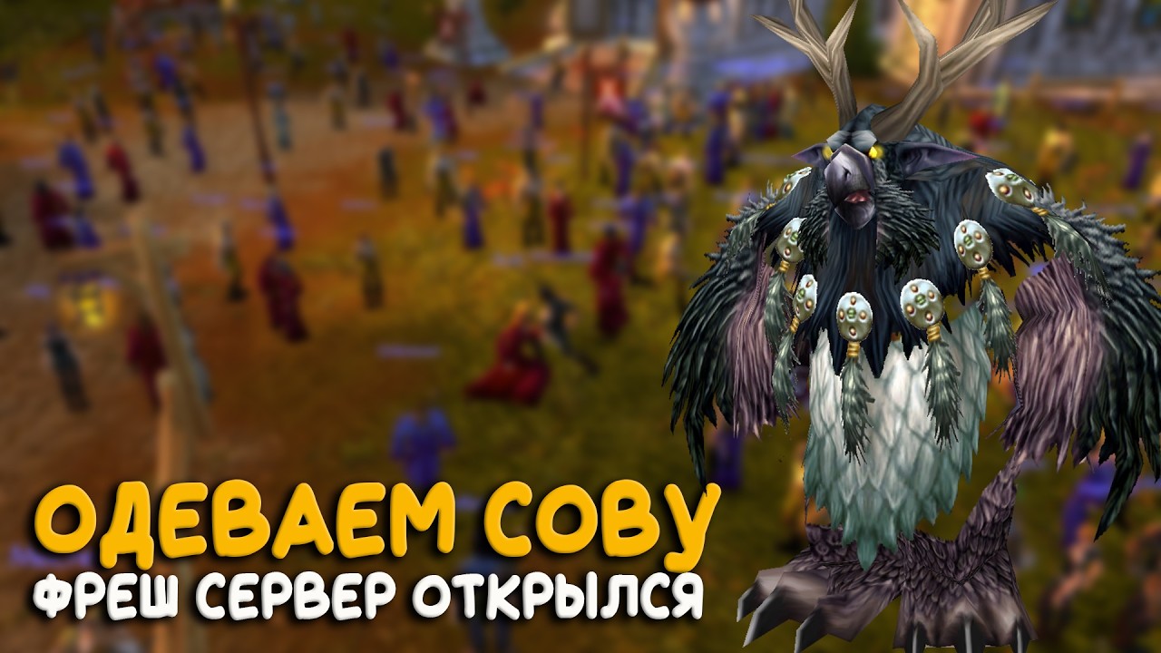 Вторая фаза началась! На бесплатном сервере 3.3.5 World of Warcraft