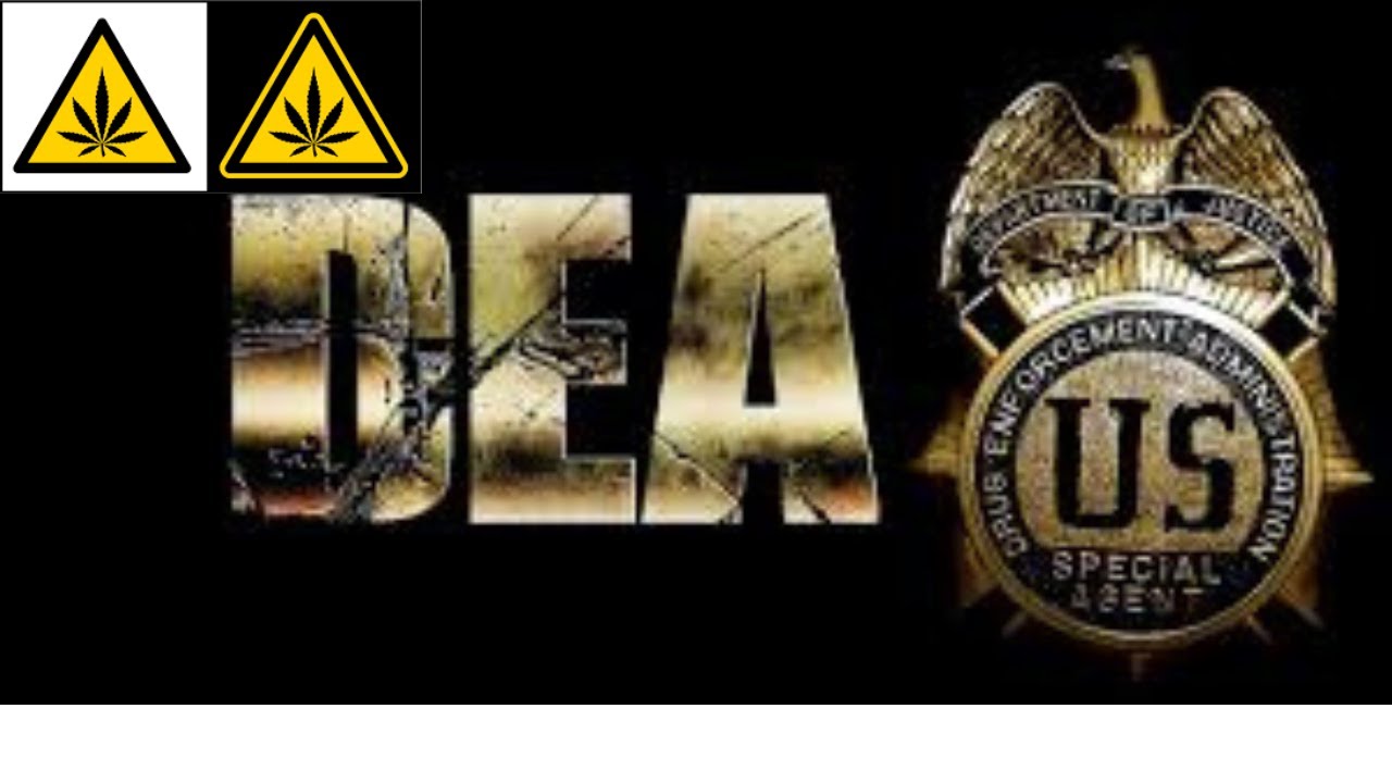Marijuana News: DEA Moves To Reschedule Marijuana After Over 40 Years Of Lies