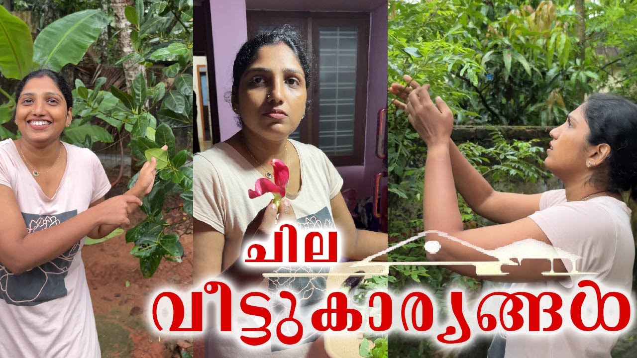 വീട്ടിലെ പച്ചക്കറിത്തോട്ടം || Stebin || Vineesha