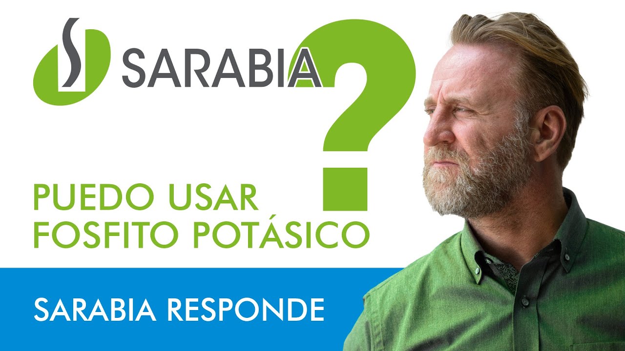 🟢 🟢 puedo usar FOSFITO POTÁSICO⁉️ *Sarabia Responde* ✅[fosfonato potásico ➡️ fungicida] PHYTOSARCAN