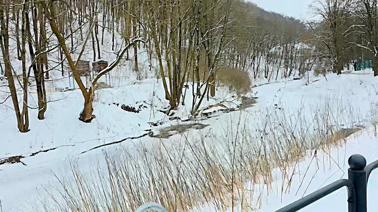 Pasivaikščiojimas šalia užšalusios Vilnelės 