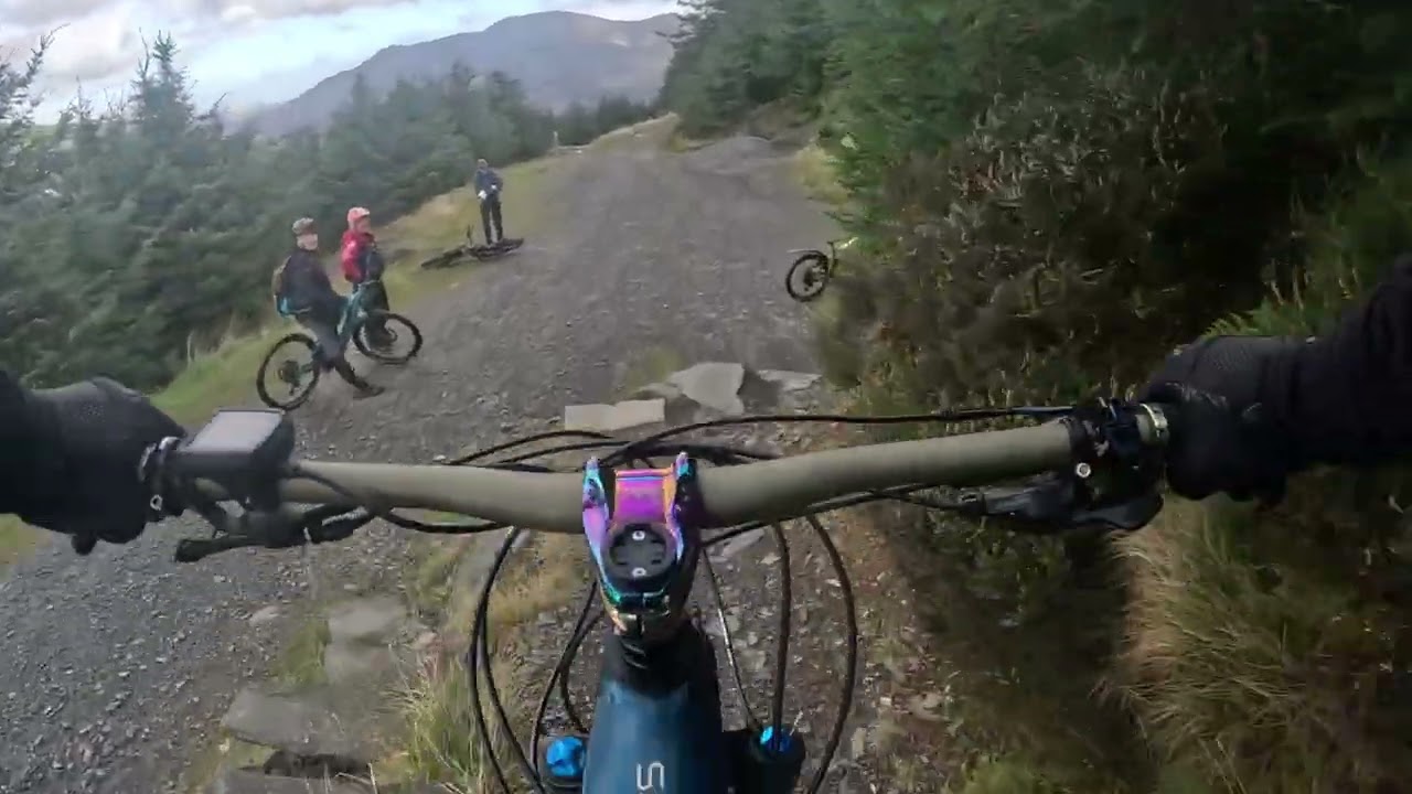 Emtb Windlatter Forest
