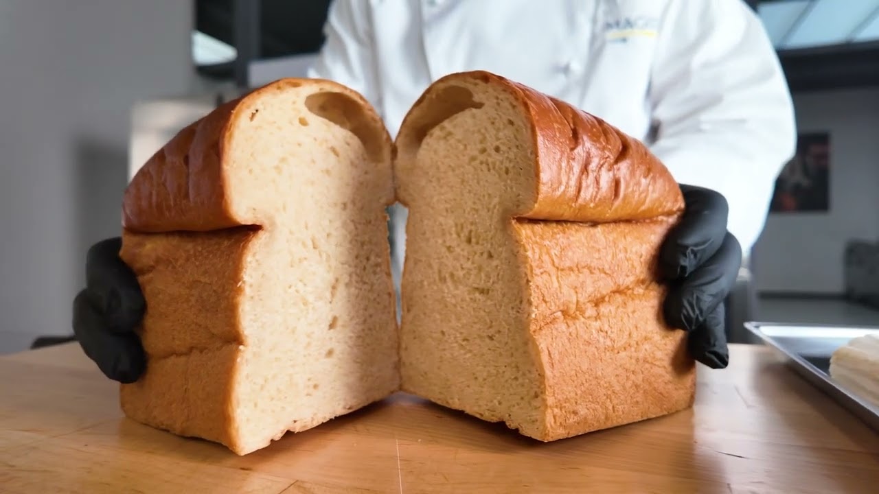 [Forno Magistar & EazyPanini] | Zanussi Professional