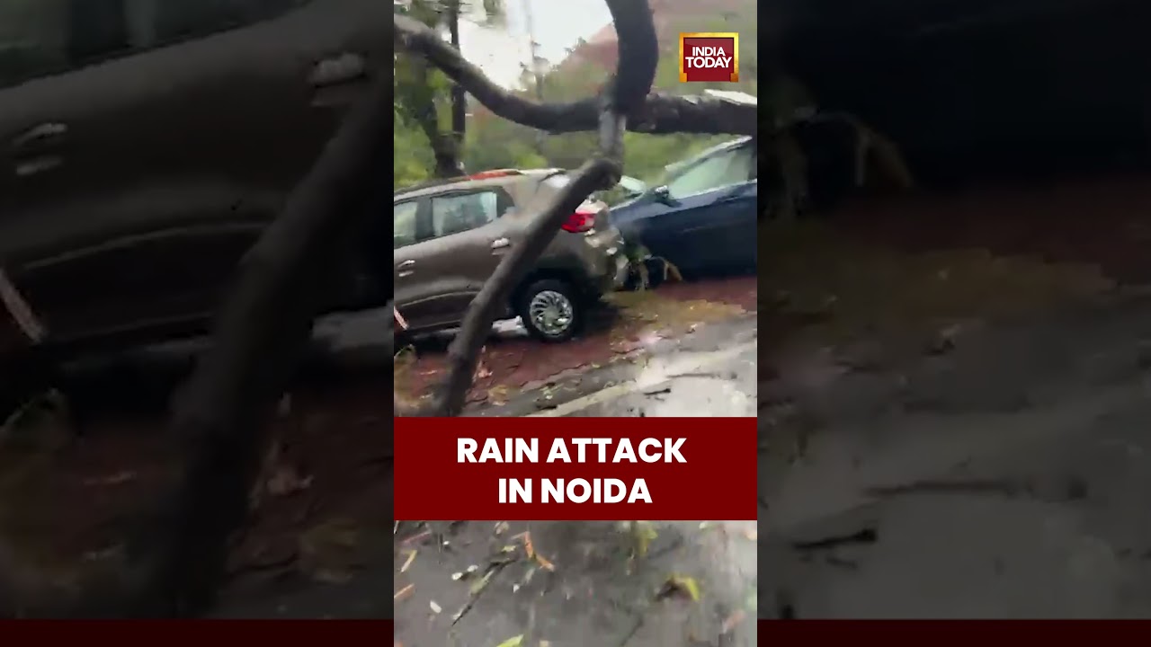 Noida Sector 16 Hit Hard by Sudden Rain & Dust Storm, Trees Fall on Vehicles | India Today