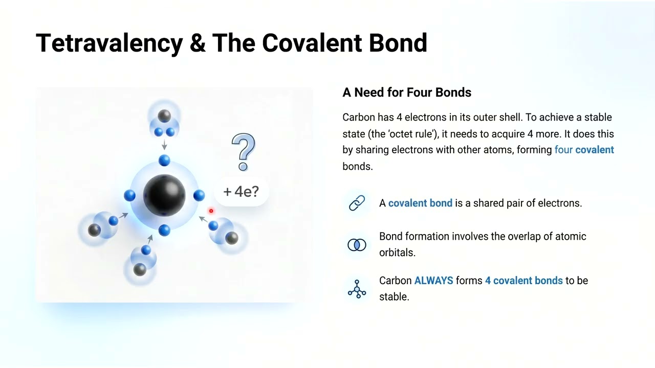 Organic Chemistry basics made easy 🔥Carbon kyu special hai? Hybridisation, bonding & tetravalency 💯🧪