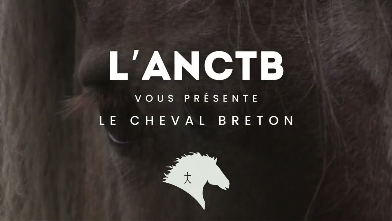 Association Cheval de Trait Breton