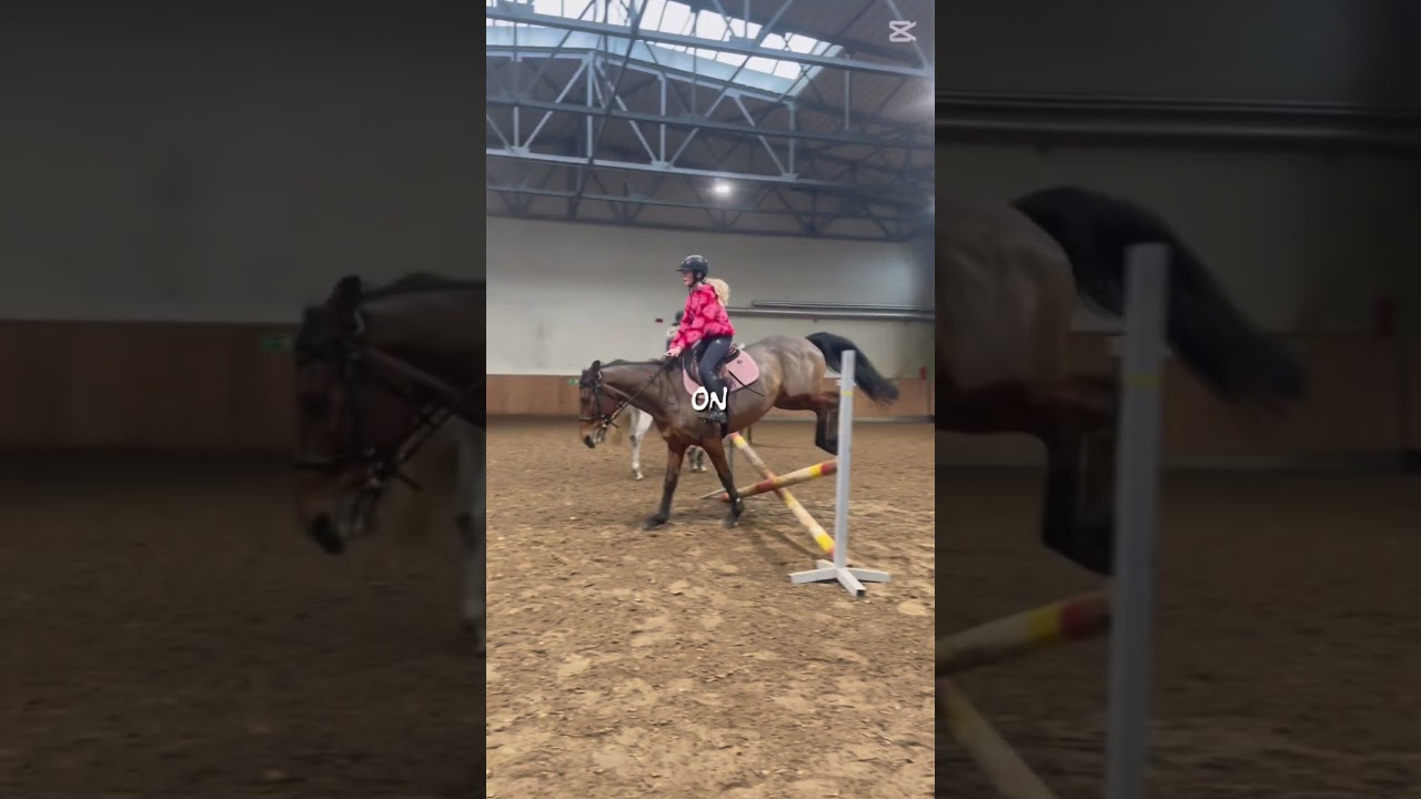 Dołączam do trendu😻🎀będę tęsknić za psjk💔ale dalej będę jeździć na hipo💓