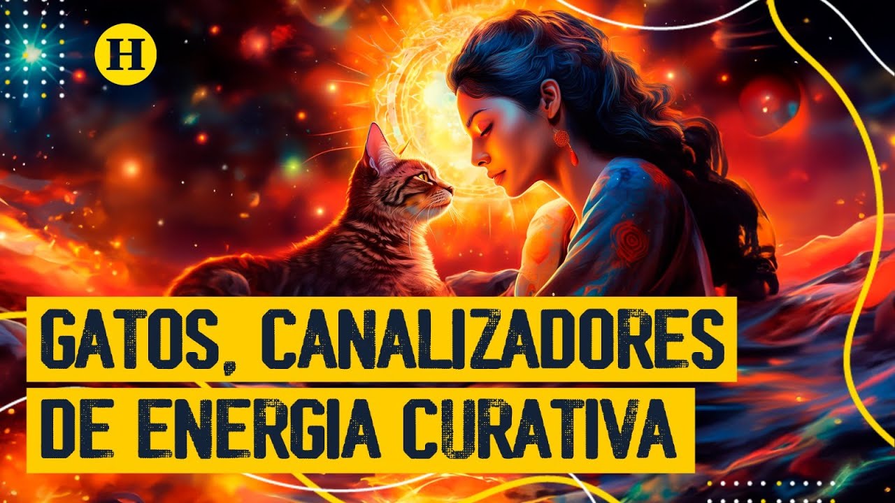Mitos de los gatos ¿los felinos bajan el estrés, están conectados con lo espiritual y son curativos?