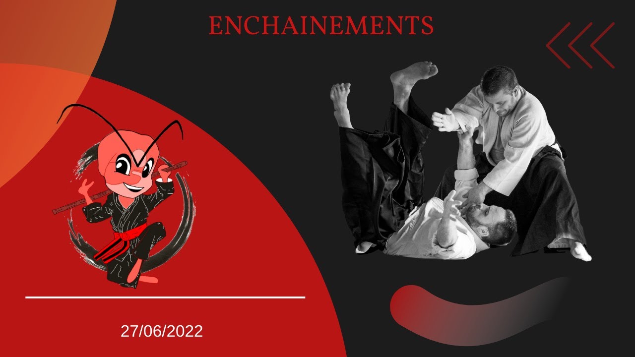 Mushin ryu Ju jitsu: Enchainements.